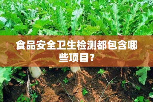 食品安全檢測哪些項目www.copysteven.com