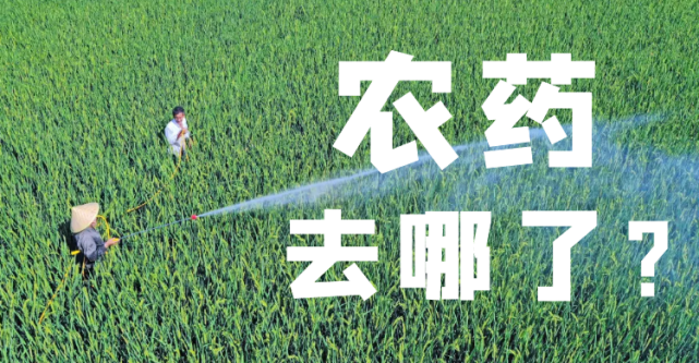 農藥在農業(yè)生產中的使用對提高農產品產量和質量起到了重要作用